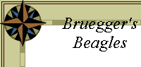 Bruegger's
Beagles